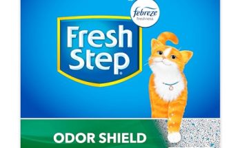 Best Cat Litter FOR Odor