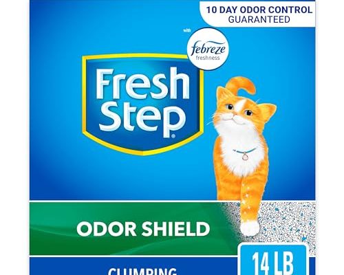 Best Cat Litter FOR Odor