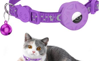 Airtag Collar: The Ultimate GPS Tracker for Your Pet's Safety