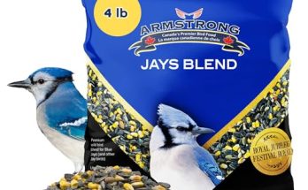 Best Bird Food for Blue Jays