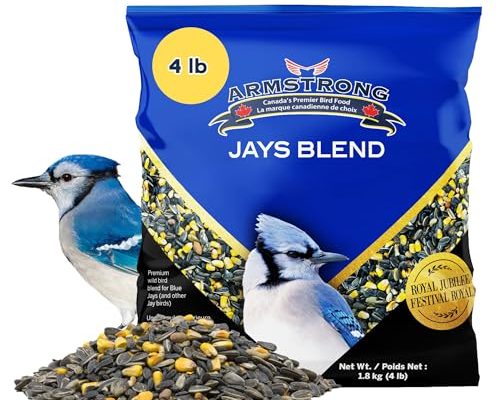 Best Bird Food for Blue Jays