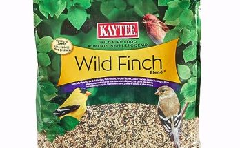 Best Bird Food for Finches