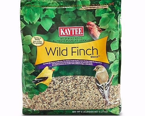 Best Bird Food for Finches