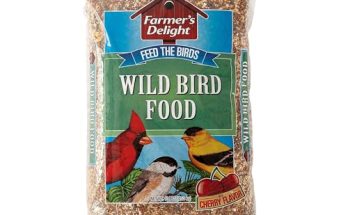 Best Bird Food for Wild Birds