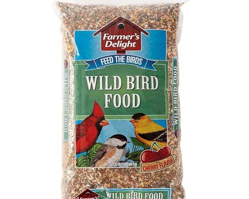 Best Bird Food for Wild Birds