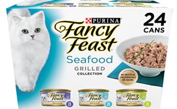 best cat food