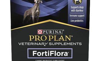 Best Dog Probiotics