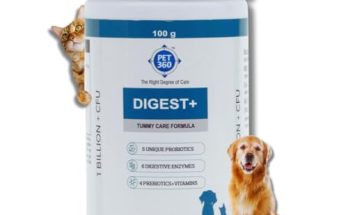 Best Probiotic for Dogs