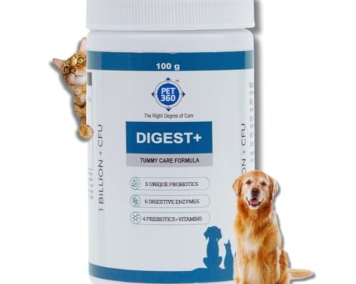 Best Probiotic for Dogs