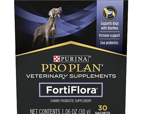 Best Probiotics for Dogs