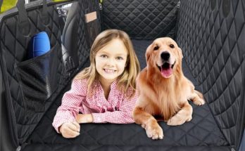 Car Back Seat Dog Bed