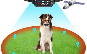 Gps Dog Collar Fence