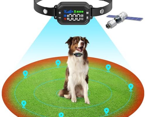 Gps Dog Collar Fence