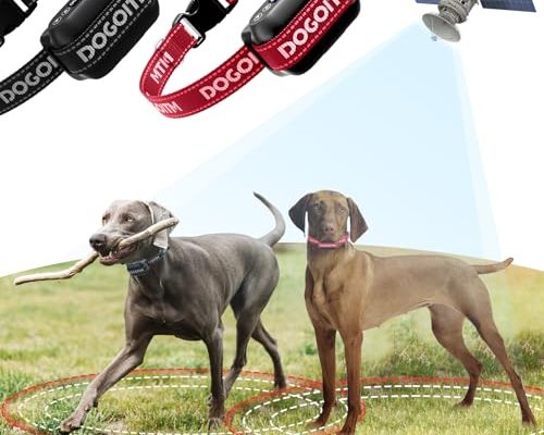 Gps Fence Dog Collar