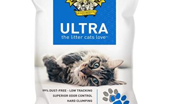 Best Cat Litter