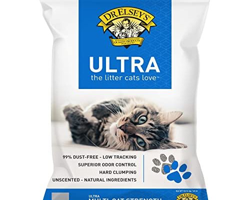 Best Cat Litter