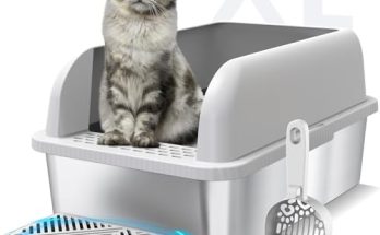 Best Cat Litter Box