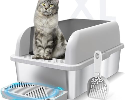 Best Cat Litter Box