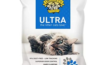 Best Clumping Cat Litter