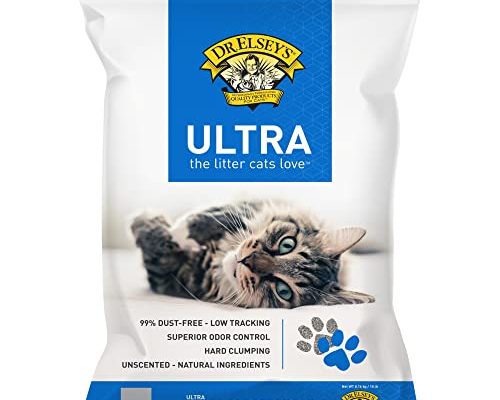 Best Clumping Cat Litter