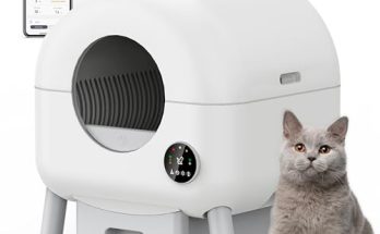 Best Self Cleaning Cat Litter Box