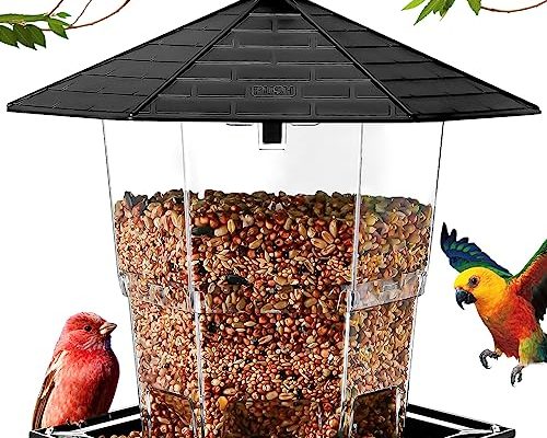 Bird Feeder