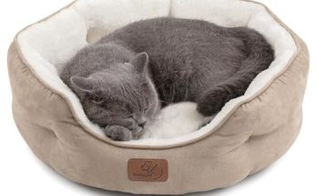 Cat Bed for Indoor