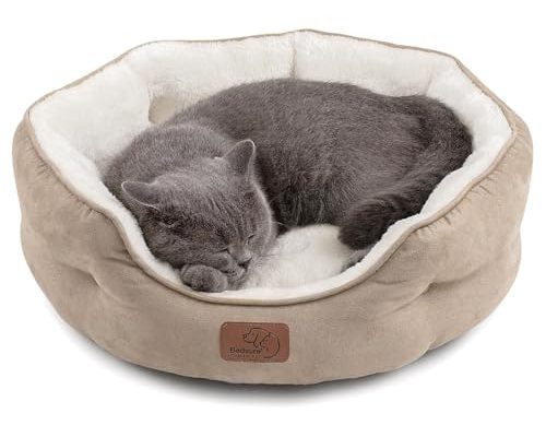 Cat Bed for Indoor