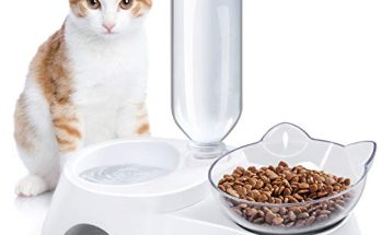 Cat Food Bowl And Water