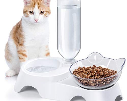 Cat Food Bowl And Water