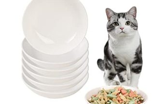 Cat Food in Bowl