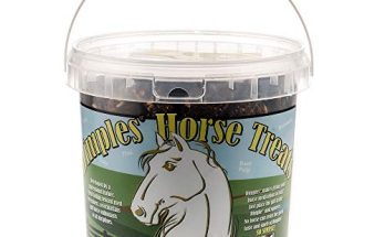 Diy Horse Treats Oatmeal​