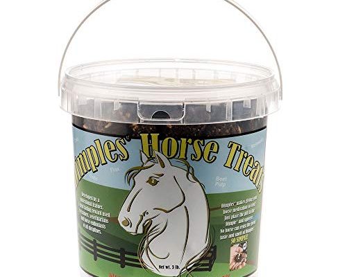 Diy Horse Treats Oatmeal​