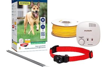 Electric Dog Fence