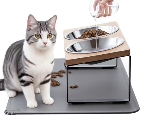 Elevated Cat Food Bowls