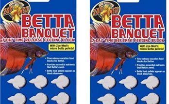 How Long Can Betta Fish Go Without Food