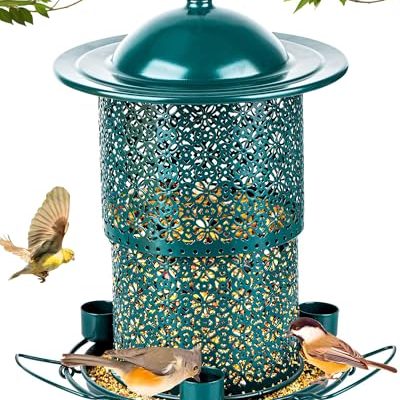 Large Bird Feeders