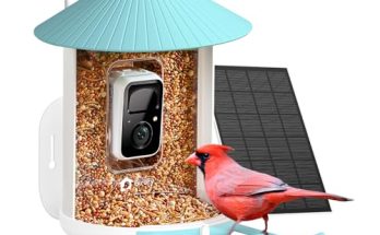 Netvue Bird Feeder