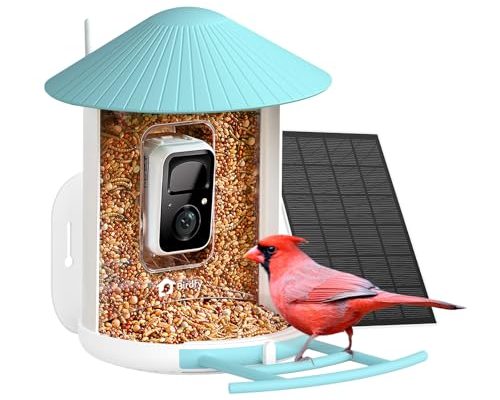 Netvue Bird Feeder