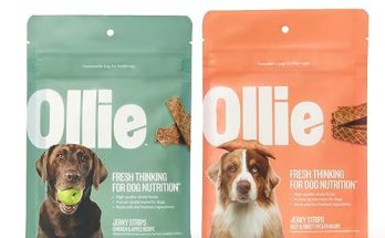 Ollie Dog Food