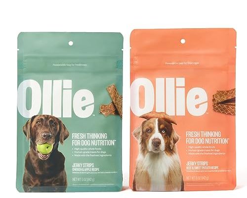 Ollie Dog Food