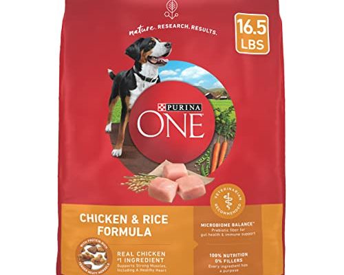 Purina Dog Food