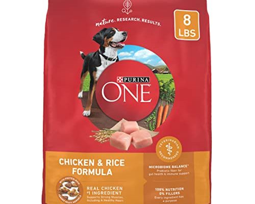 Purina One Dog Food