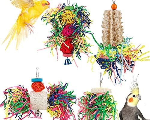 The Importance of Toys for Pet Birds