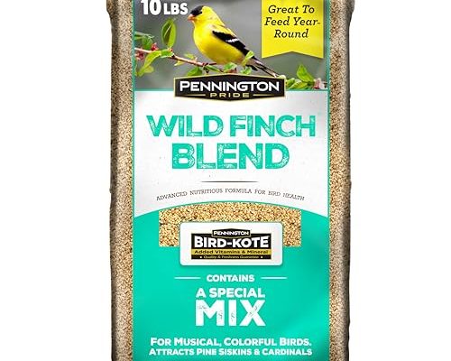 Wild Finch Blend Bird Seed